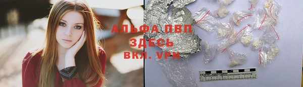 хмурый Магас