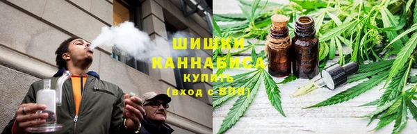 хмурый Магас