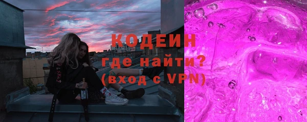 хмурый Магас