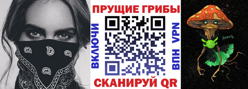 цена наркотик Нариманов кракен маркетплейс Галлюциногенные грибы прущие грибы